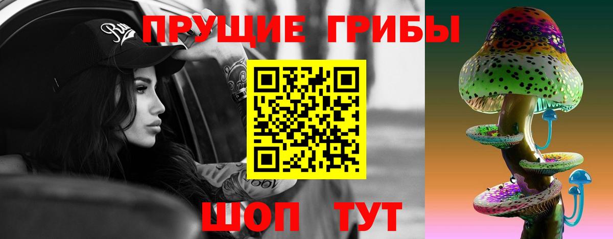 Псилоцибиновые грибы Psilocybine cubensis  Вход с VPN  Кохма 