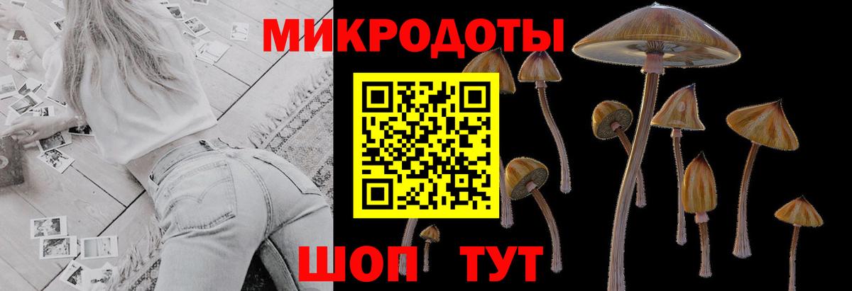 Псилоцибиновые грибы MAGIC MUSHROOMS Кохма